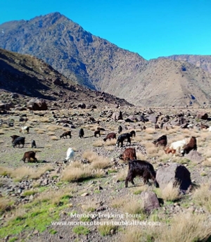 Berber villages trek Morocco