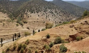 7 Day Family Trek through the Valley of Olives