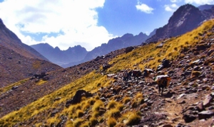 4 days Wild Morocco adventure Atlas Trek,best Atlas mountains tours,Morocco wild trek